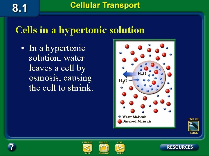 Cells in a hypertonic solution • In a hypertonic solution, water leaves a cell