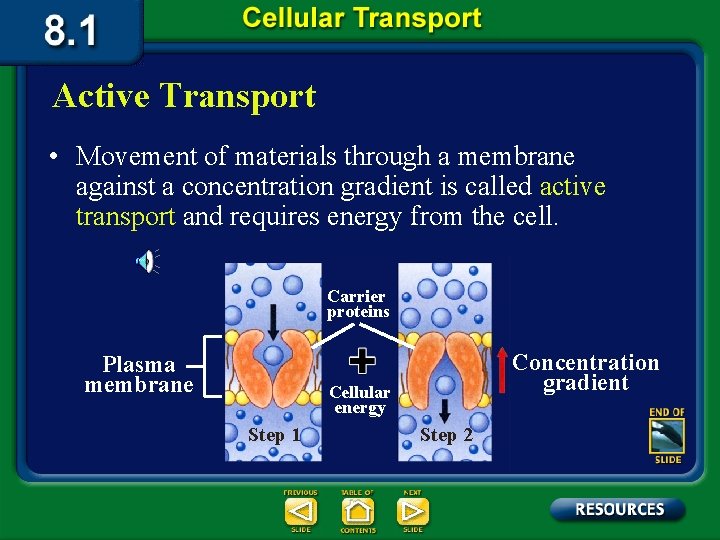 Active Transport • Movement of materials through a membrane against a concentration gradient is
