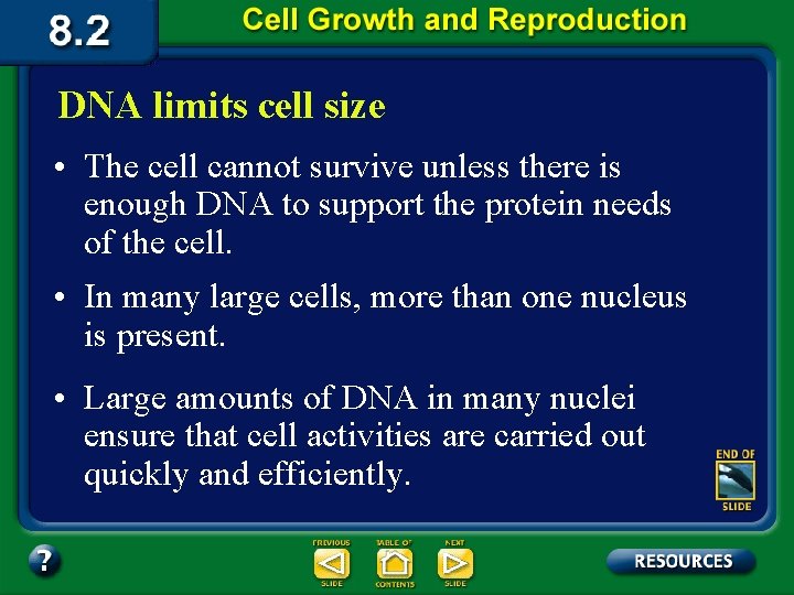 DNA limits cell size • The cell cannot survive unless there is enough DNA