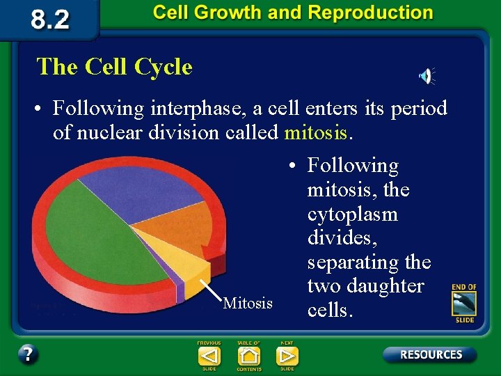 The Cell Cycle • Following interphase, a cell enters its period of nuclear division