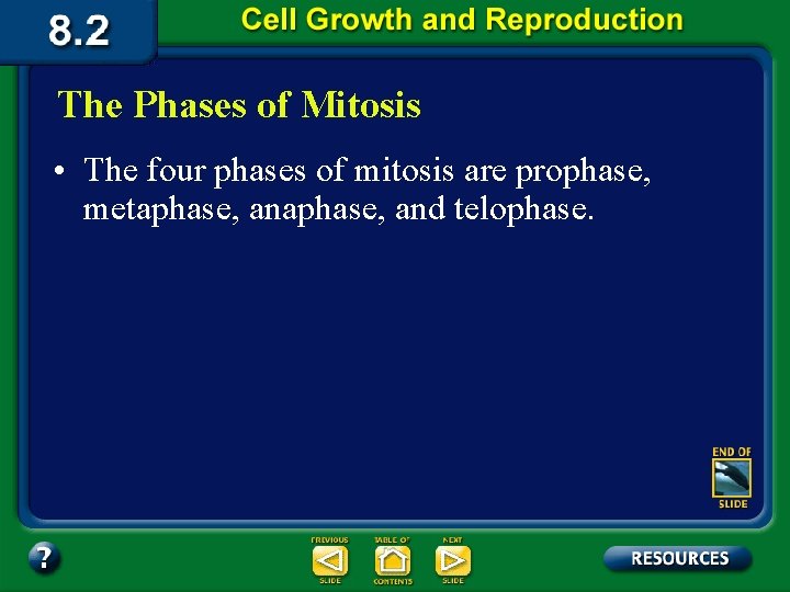 The Phases of Mitosis • The four phases of mitosis are prophase, metaphase, and