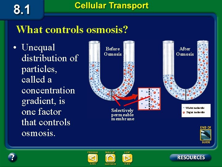 What controls osmosis? • Unequal distribution of particles, called a concentration gradient, is one