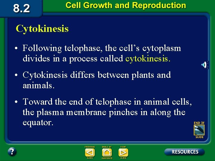 Cytokinesis • Following telophase, the cell’s cytoplasm divides in a process called cytokinesis. •