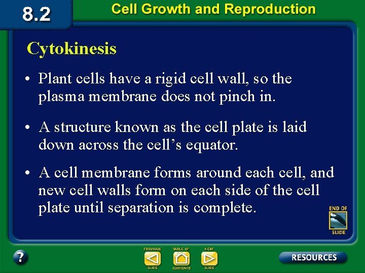 Cytokinesis • Plant cells have a rigid cell wall, so the plasma membrane does