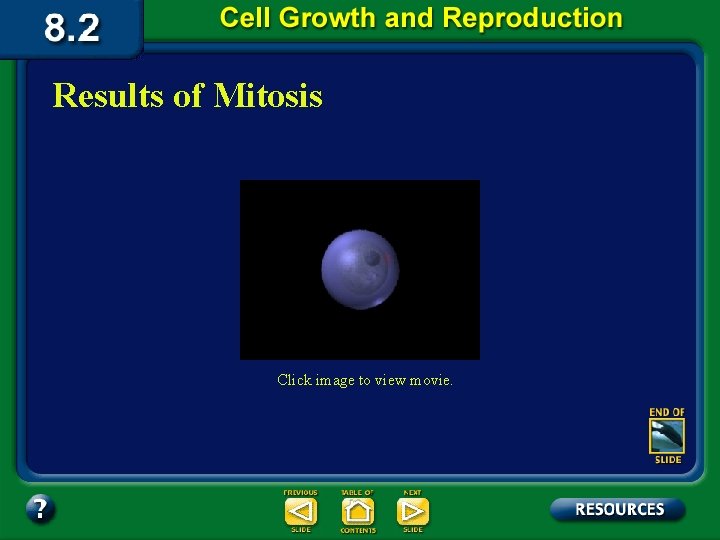 Results of Mitosis Click image to view movie. 