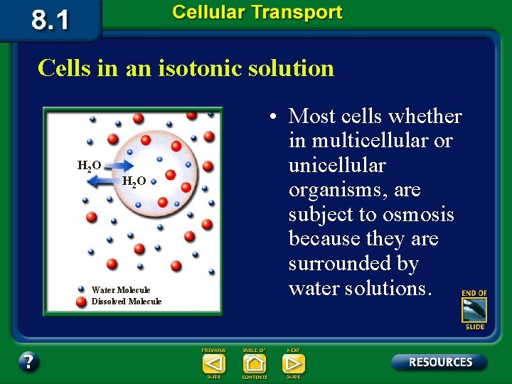 Cells in an isotonic solution H 2 O Water Molecule Dissolved Molecule • Most