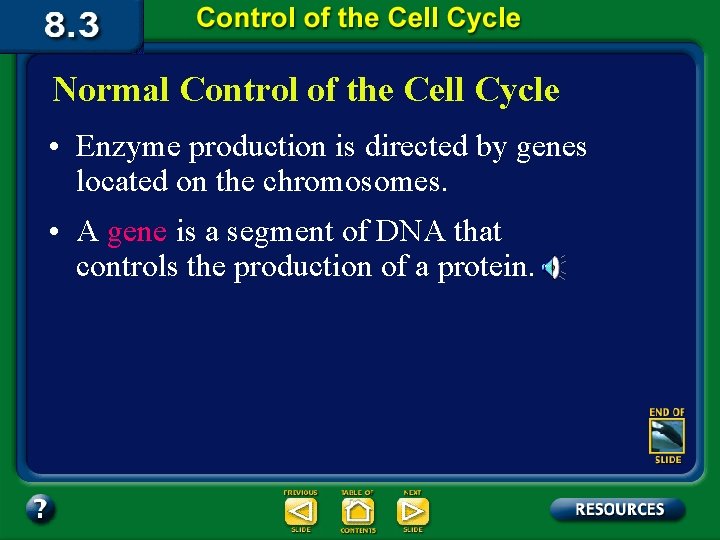 Normal Control of the Cell Cycle • Enzyme production is directed by genes located