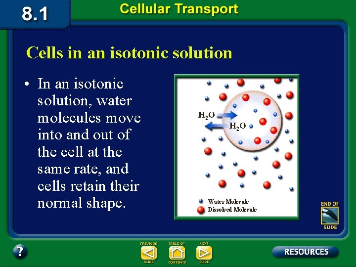 Cells in an isotonic solution • In an isotonic solution, water molecules move into