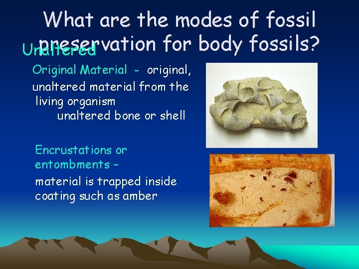 What are the modes of fossil preservation for body fossils? Unaltered Original Material -