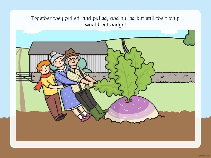 Together they pulled, and pulled but still the turnip would not budge! 