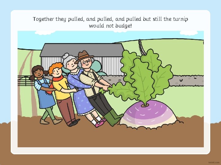 Together they pulled, and pulled but still the turnip would not budge! 