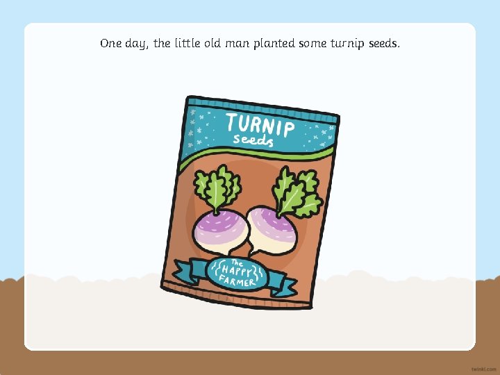 One day, the little old man planted some turnip seeds. 