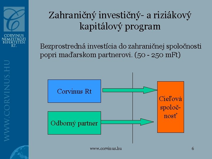 Zahraničný investičný- a riziákový kapitálový program Bezprostredná investícia do zahraničnej spoločnosti popri maďarskom partnerovi.