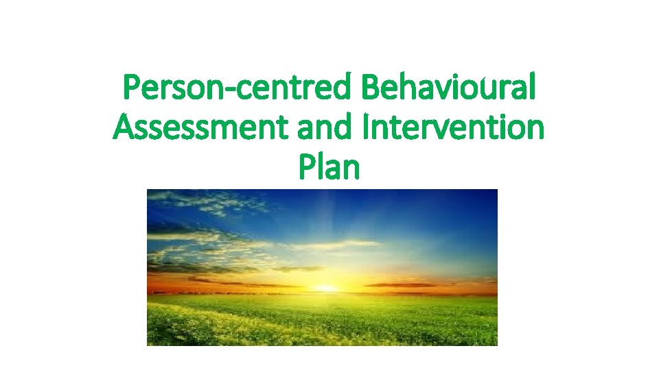 Person-centred Behavioural Assessment and Intervention Plan 