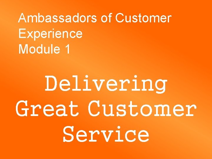 Ambassadors of Customer Experience Module 1 Delivering Great