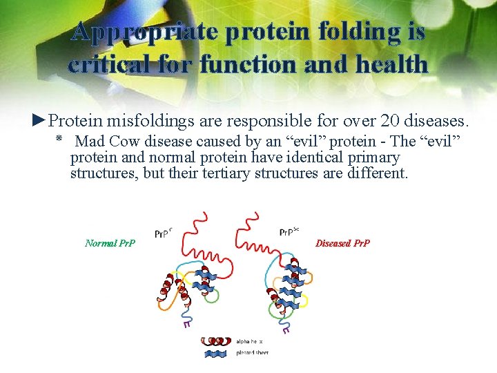 Appropriate protein folding is critical for function and health ►Protein misfoldings are responsible for