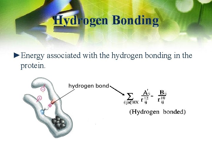 Hydrogen Bonding ►Energy associated with the hydrogen bonding in the protein. 