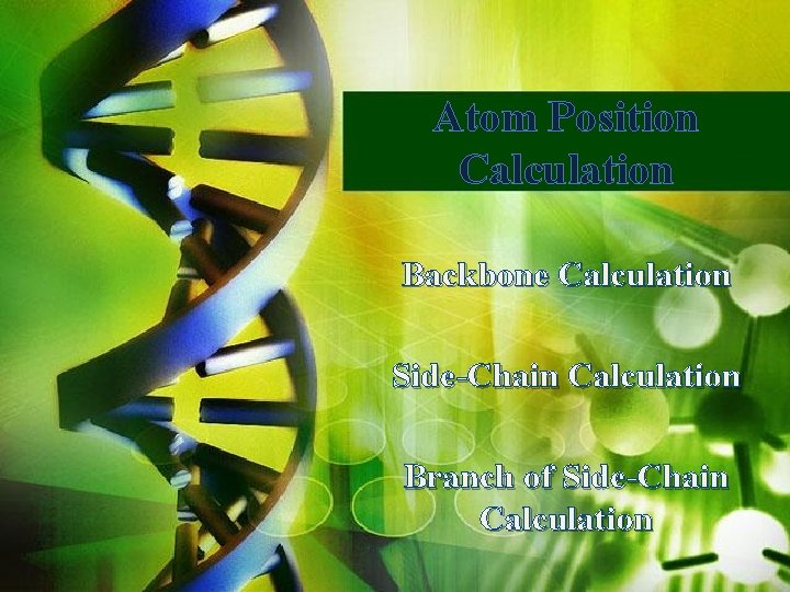 Atom Position Calculation Backbone Calculation Side-Chain Calculation Branch of Side-Chain Calculation 