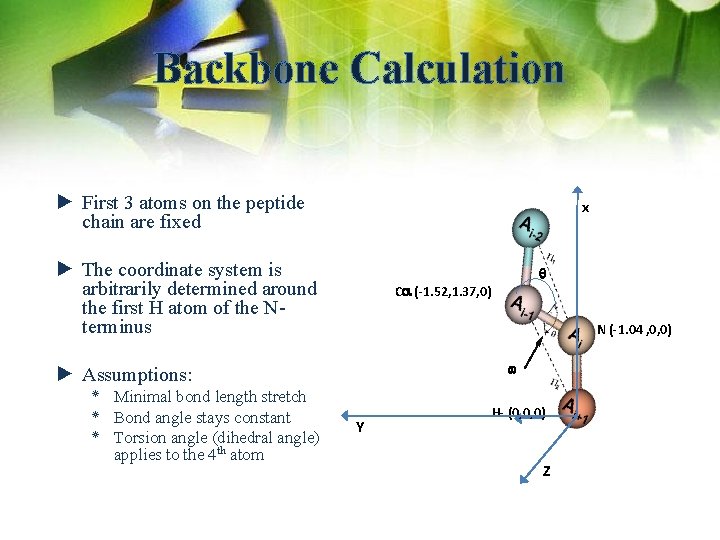 Backbone Calculation ► First 3 atoms on the peptide chain are fixed x ►