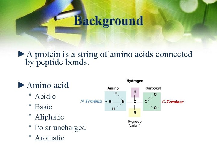 Background ►A protein is a string of amino acids connected by peptide bonds. ►Amino