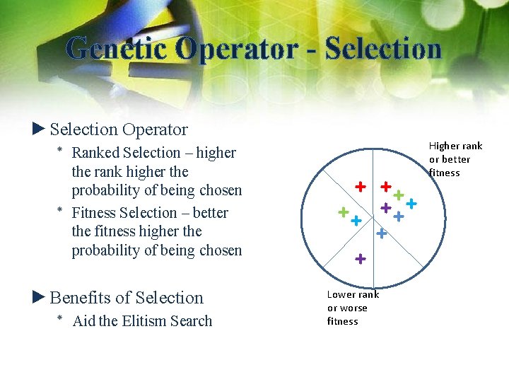Genetic Operator - Selection ►Selection Operator Higher rank or better fitness ٭ Ranked Selection