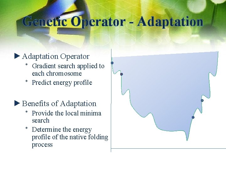 Genetic Operator - Adaptation ►Adaptation Operator ٭ Gradient search applied to each chromosome ٭