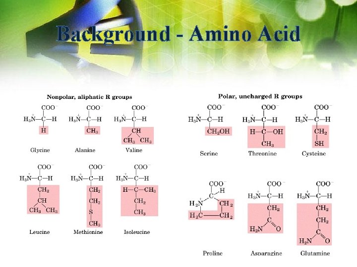 Background - Amino Acid 