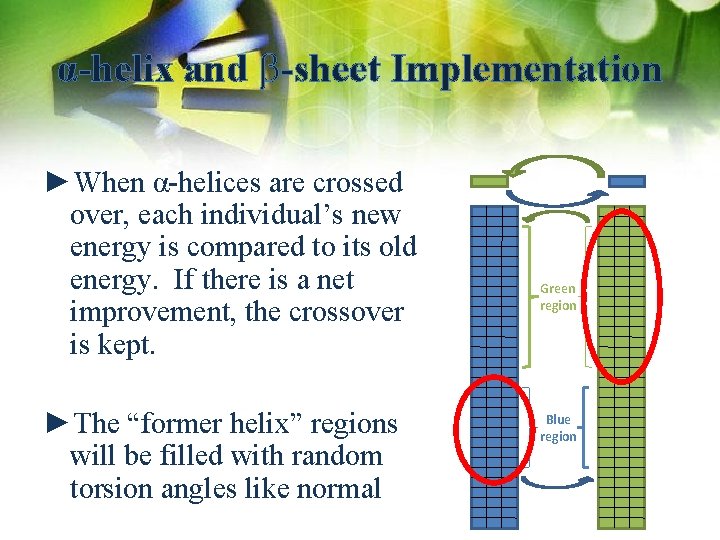 α-helix and b-sheet Implementation ►When α-helices are crossed over, each individual’s new energy is