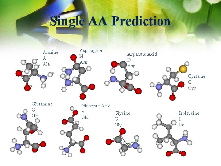 Single AA Prediction Alanine A Ala Asparagine N Asn Asparatic Acid D Asp Cysteine