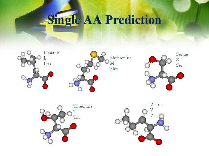 Single AA Prediction Leucine L Leu Serine S Ser Methionine M Met Threonine T