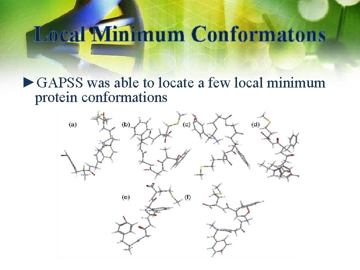 Local Minimum Conformatons ►GAPSS was able to locate a few local minimum protein conformations