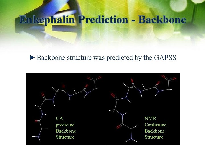 Enkephalin Prediction - Backbone ► Backbone structure was predicted by the GAPSS GA predicted