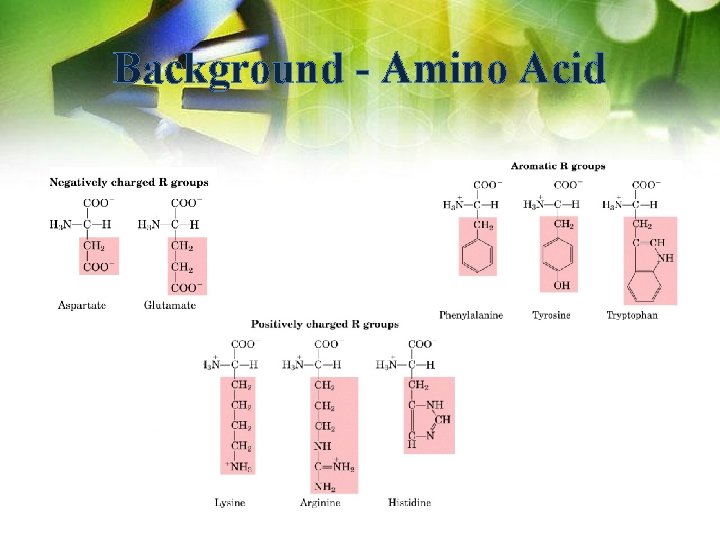 Background - Amino Acid 
