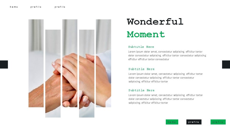 home profile Wonderful Moment Subtitle Here Lorem ipsum dolor amet, consectetur adipiscing. efficitur tortor