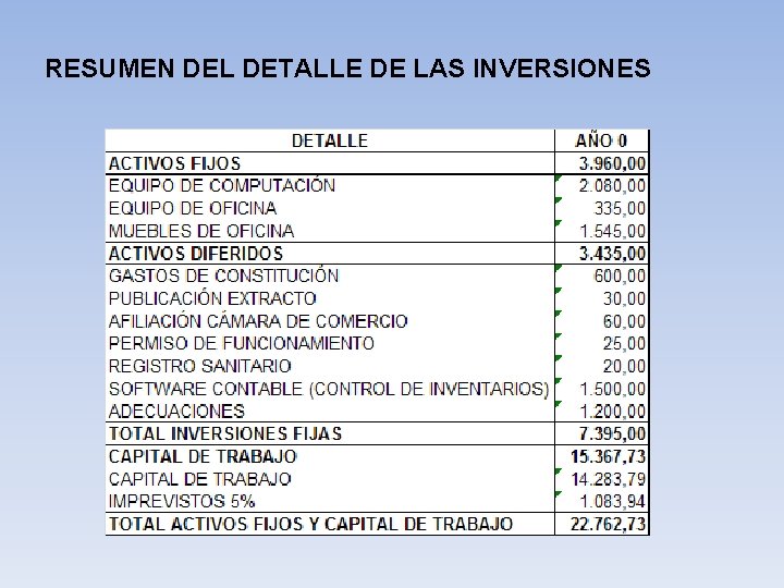 RESUMEN DEL DETALLE DE LAS INVERSIONES 