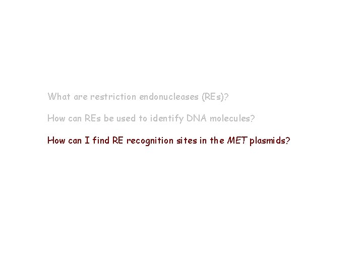 What are restriction endonucleases (REs)? How can REs be used to identify DNA molecules?