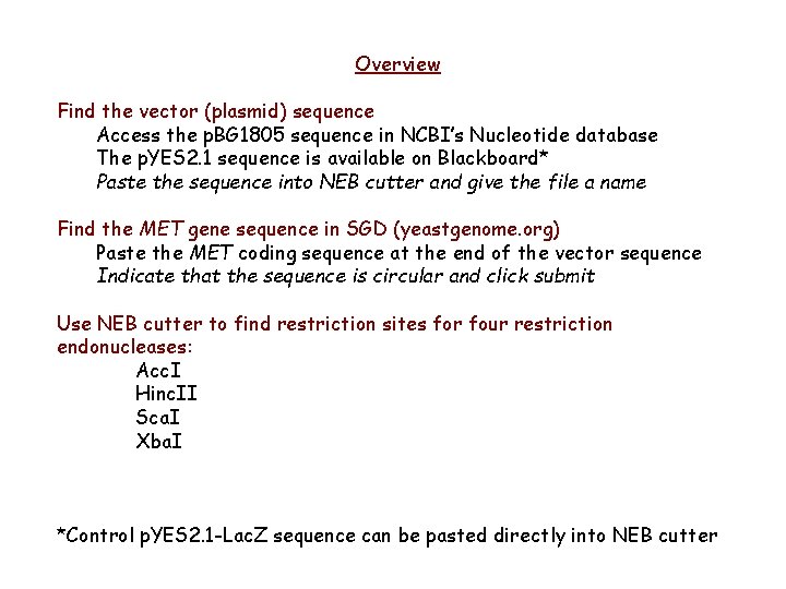 Overview Find the vector (plasmid) sequence Access the p. BG 1805 sequence in NCBI’s