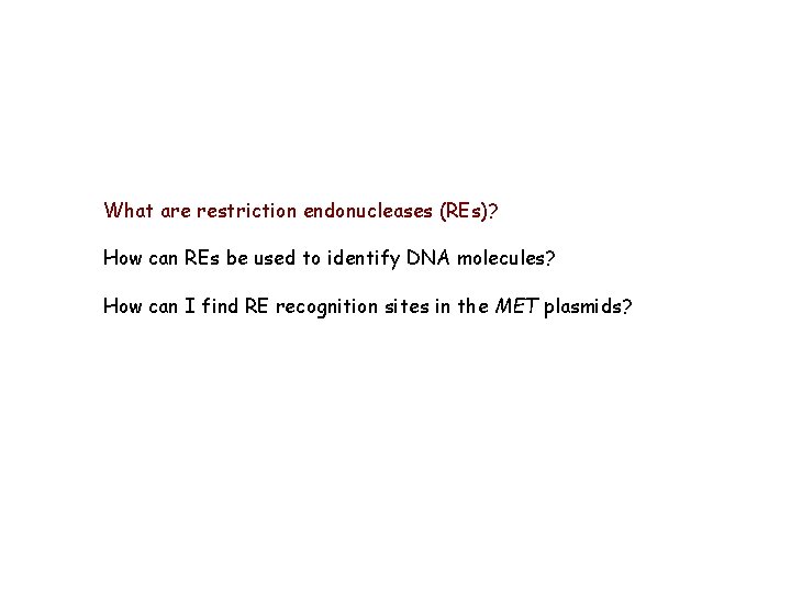 What are restriction endonucleases (REs)? How can REs be used to identify DNA molecules?