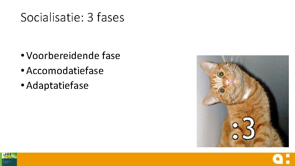 Socialisatie: 3 fases • Voorbereidende fase • Accomodatiefase • Adaptatiefase 