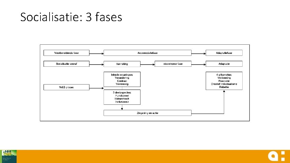 Socialisatie: 3 fases 