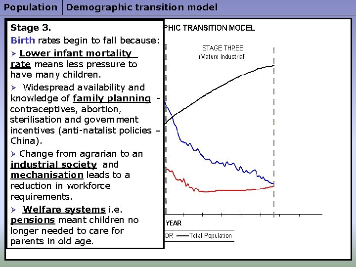 Population Demographic transition model Stage 3. Birth rates begin to fall because: Ø Lower