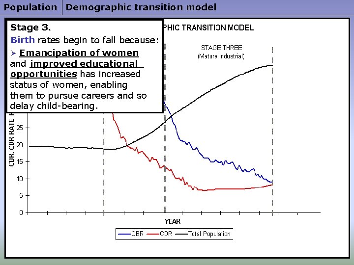 Population Demographic transition model Stage 3. Birth rates begin to fall because: Ø Emancipation