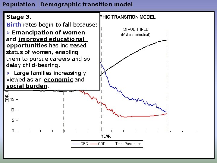Population Demographic transition model Stage 3. Birth rates begin to fall because: Ø Emancipation