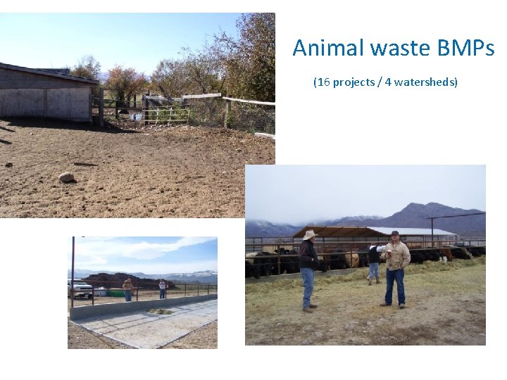 Animal waste BMPs (16 projects / 4 watersheds) 