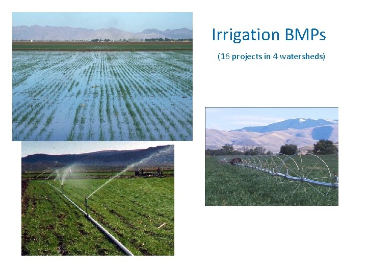 Irrigation BMPs (16 projects in 4 watersheds) 