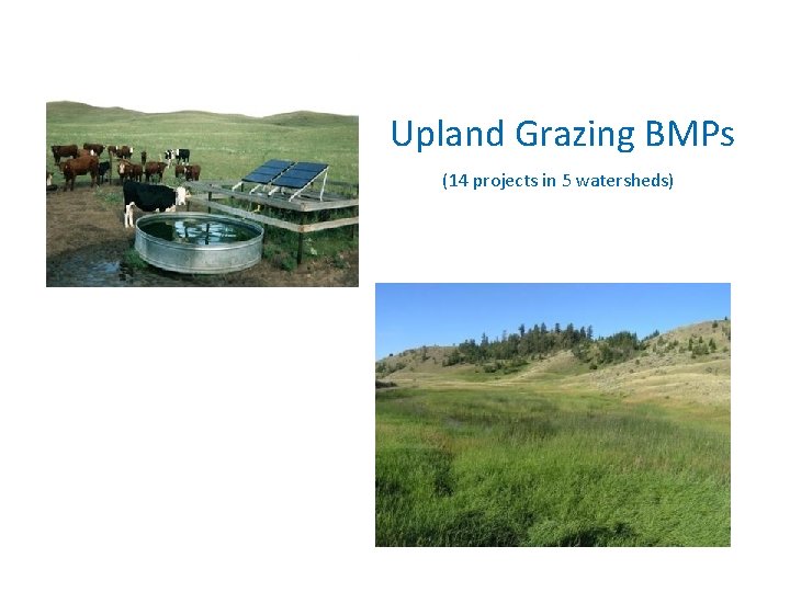 Upland Grazing BMPs (14 projects in 5 watersheds) 