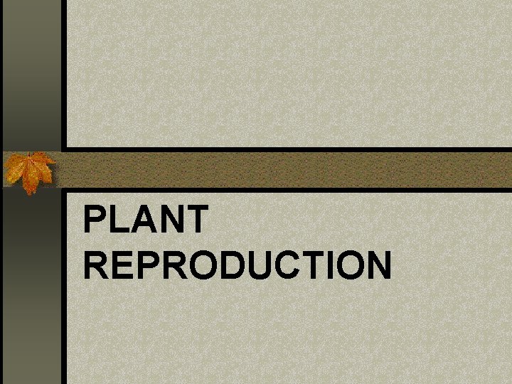 PLANT REPRODUCTION 