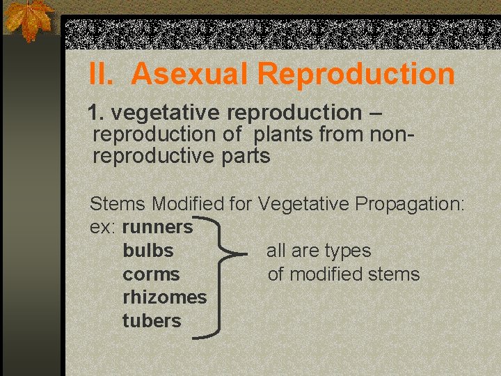 II. Asexual Reproduction 1. vegetative reproduction – reproduction of plants from nonreproductive parts Stems