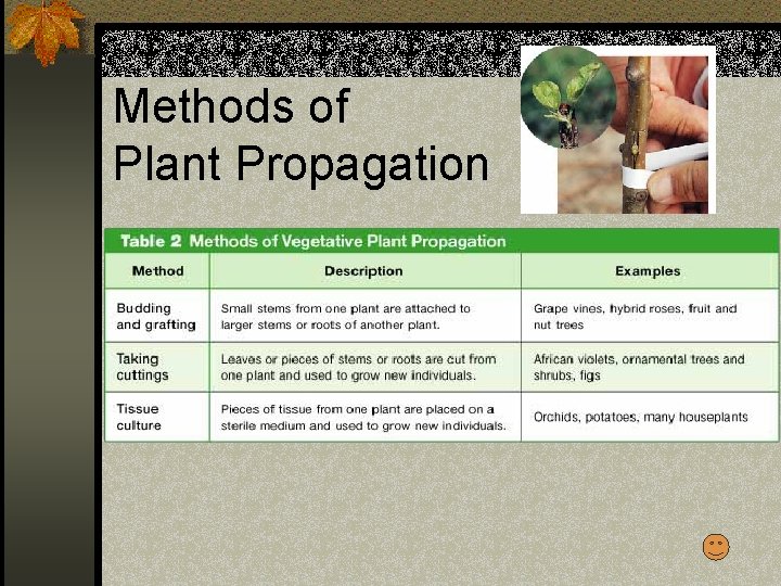 Methods of Plant Propagation 