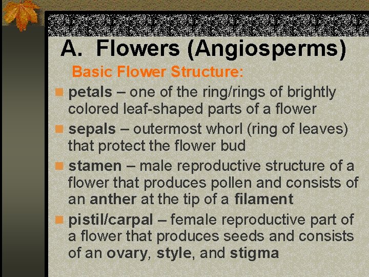 A. Flowers (Angiosperms) Basic Flower Structure: n petals – one of the ring/rings of